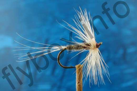 Fish4Flies Kite's Imperial